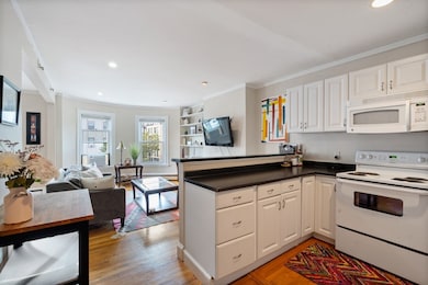 796 Tremont St unit 3, Boston, MA 02118 - photo 2