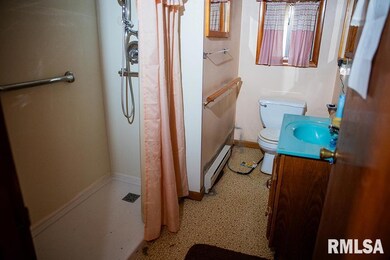 7319 Malone Rd, Alma, IL 62807 - photo 6