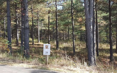 LT 39 Reece Mountain Rd, Ellijay, GA 30540 - photo 2