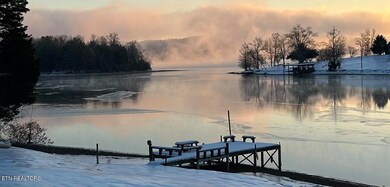 334 Chamberlain Cove Rd, Kingston, TN 37763 - photo 5