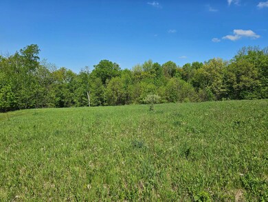 3 Park Ct unit Lot 3, Freeman, WI 54624 - photo 7