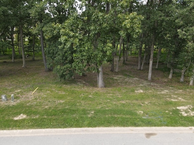 735 Druim Tr, Crown Point, IN 46307 - photo 4