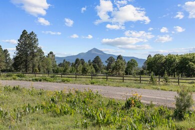 1151 Dr, Placerville, CO 81430 - photo 2