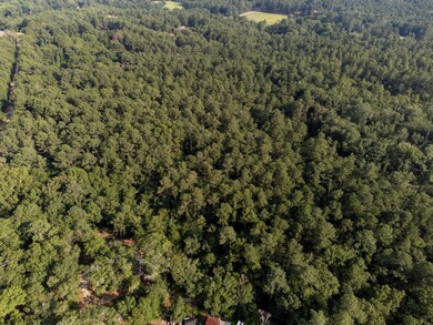 DJI_0389