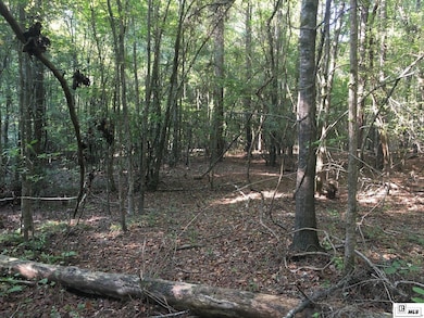 000 Highway 552 unit 20ac+/- North and So, Downsville, LA 71234 - photo 4