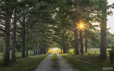 18480 State Route O, Rolla, MO 65401 - photo 2