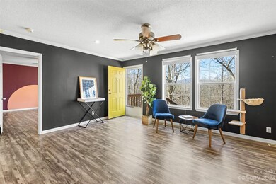 148 Misty Hollow, Burnsville, NC 28714 - photo 4