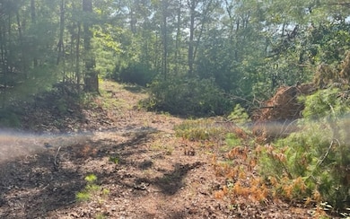 Additional View