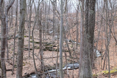 120 Swallow Ct, Bushkill, PA 18324 - photo 7