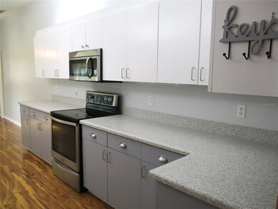 13816 SW 112th Terrace, Dunnellon, FL 34432 - photo 6