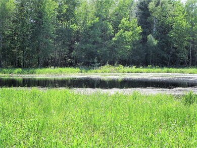 Pond on 19.5 acre property