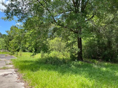 28207 Ascot Farms Rd, Magnolia, TX 77354 - photo 6