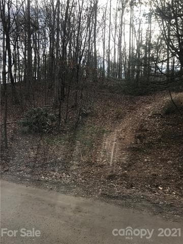 70 Propst Rd unit C, Candler, NC 28715 - photo 2