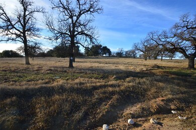 508 Dually Trail, Weatherford, TX 76087 - photo 2