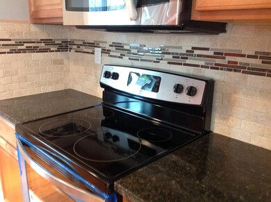 9 Pendexter Ave, Chicopee, MA 01013 - photo 6