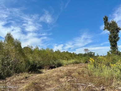 0 Highway 35 unit 4126739, Walnut Grove, MS 39189 - photo 6