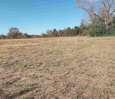 lot 1 Davis Ln, Mullins, SC 29574 - photo 7