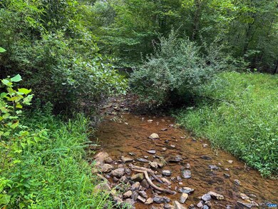 TBA Old Green Mountain Rd unit 500, Esmont, VA 22937 - photo 4