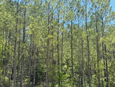 0 Lakeshore Estates Dr unit 528222, Lincolnton, GA 30817 - photo 2