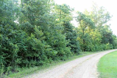 6985 560 Gr, Paragould, AR 72450 - photo 6