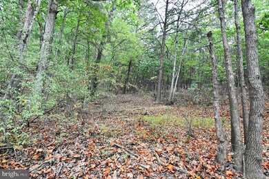 Lot 100 McCubbins Hollow Rd, Gerrardstown, WV 25420 - photo 6