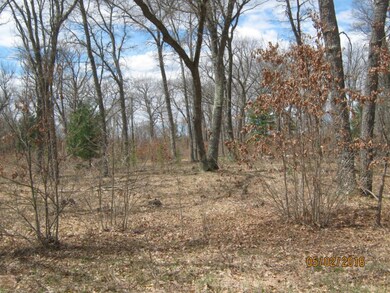 0 Peacock Trail Parcel ''B'', Baldwin, MI 49304 - photo 5