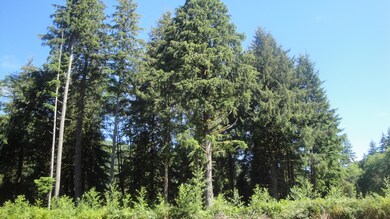 0 Miami Foley Rd unit 16-552, Nehalem, OR 97131 - photo 7