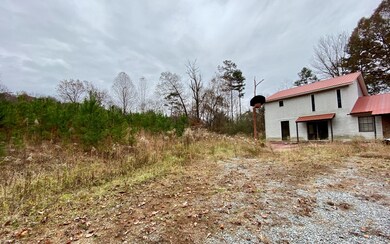 296 Abernathy Ln, Ellijay, GA 30540 - photo 4