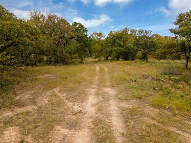 Lot 2 Texas 114, Paradise, TX 76073 - photo 5
