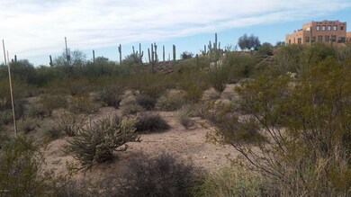 looking west on lot