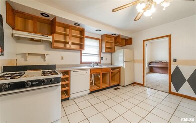 1110 N Kickapoo St, Lincoln, IL 62656 - photo 4