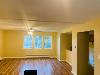 212 Craig St, Elmhurst Township, PA 18444 - photo 4