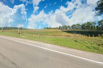 2. Street View