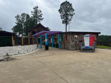 171 Sassafras unit Lot 171, Brookeland, TX 75931 - photo 4