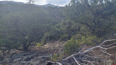 37 Turkey Creek Rd, South Fork, CO 81154 - photo 4