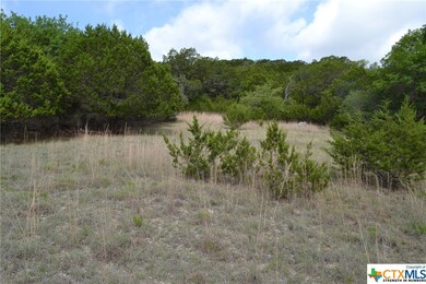 4.591 Acres Fushia Rd, Copperas Cove, TX 76522 - photo 7