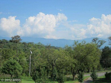 313 Hinton Rd, Luray, VA 22835 - photo 7