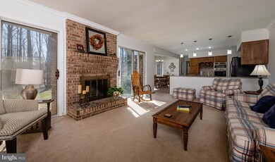 13109 Laurel Glen Rd, Clifton, VA 20124 - photo 7