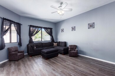 Bloomfield7