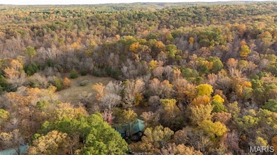 14123 State Highway A, Richwoods, MO 63071 - photo 4