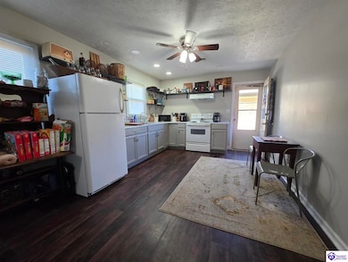 135 Lee Ave, Lebanon, KY 40033 - photo 5