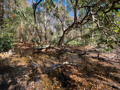 4625LazyCreek-Wadmalaw-1758