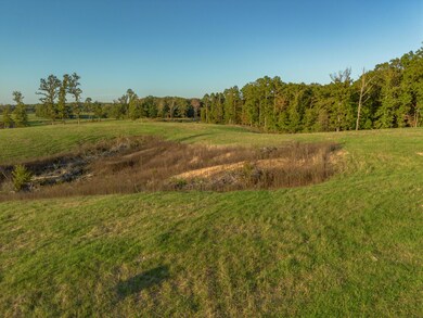 000 Dixon Rd, Licking, MO 65542 - photo 6