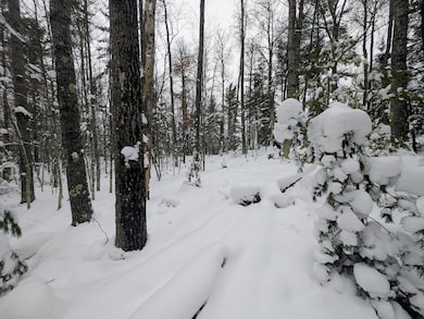 off Wooded Ln, Conover, WI 54519 - photo 5