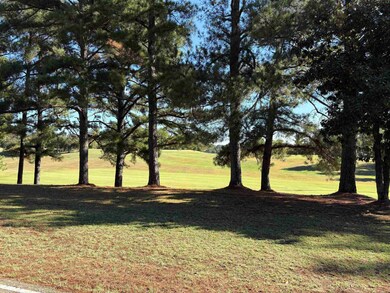 0 Bethuel Rd unit Lot 11, Unincorporated, TN 38053 - photo 7