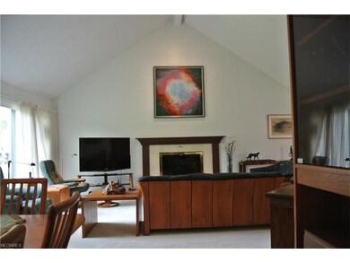 Marble Fireplace with gas logs