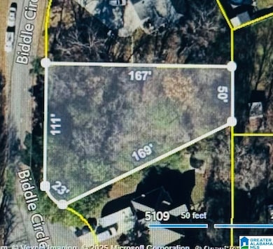 5113 Biddle Cir, Mount Olive, AL 35117 - photo 4