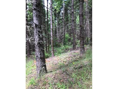 00 Cater (East) Rd, Warren, OR 97053 - photo 6