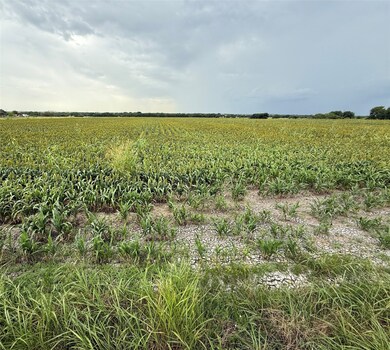000 County Road 237, Gainesville, TX 76240 - photo 5
