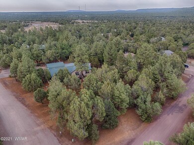 2972 Tall Pine Rd, Show Low, AZ 85901 - photo 3